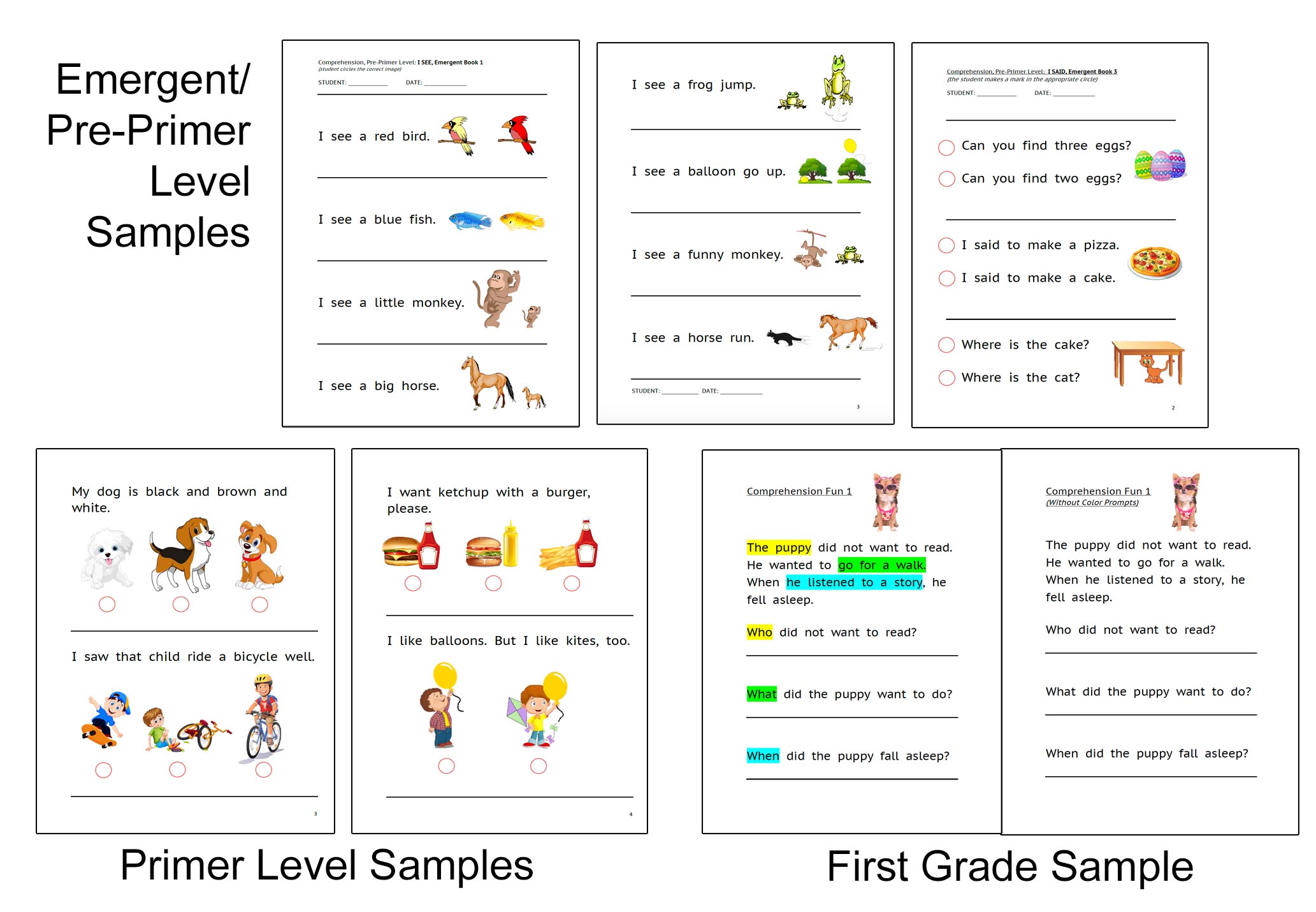 Down Syndrome Reading Programs Special Reads